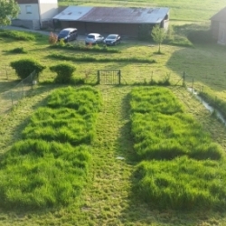 Un jardin à la française éco-logique